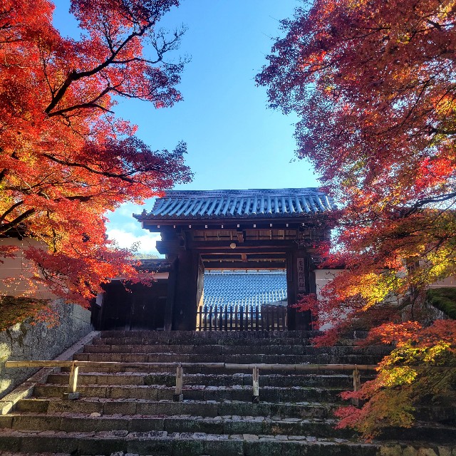 f:id:atoriatoriatori:20221128105432j:image