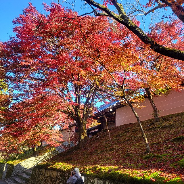 f:id:atoriatoriatori:20221128110100j:image