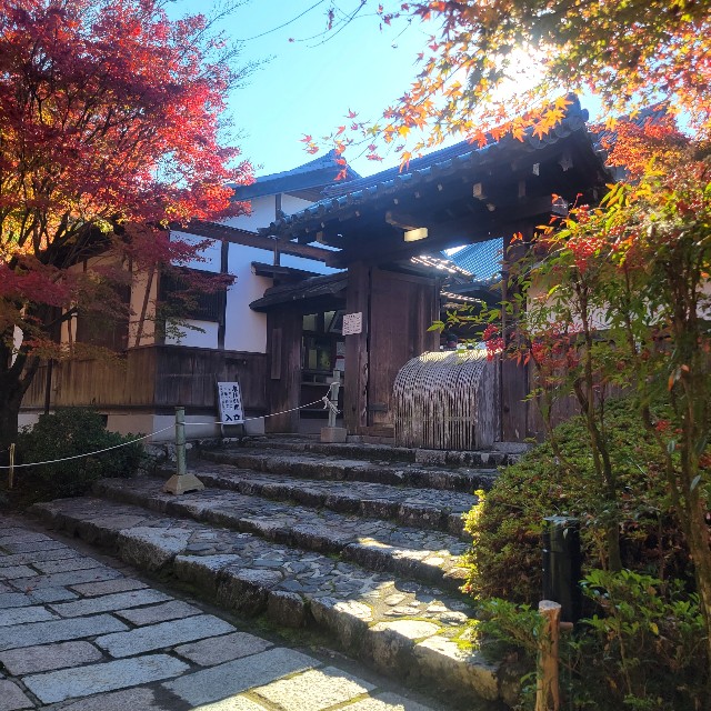 f:id:atoriatoriatori:20221128205554j:image