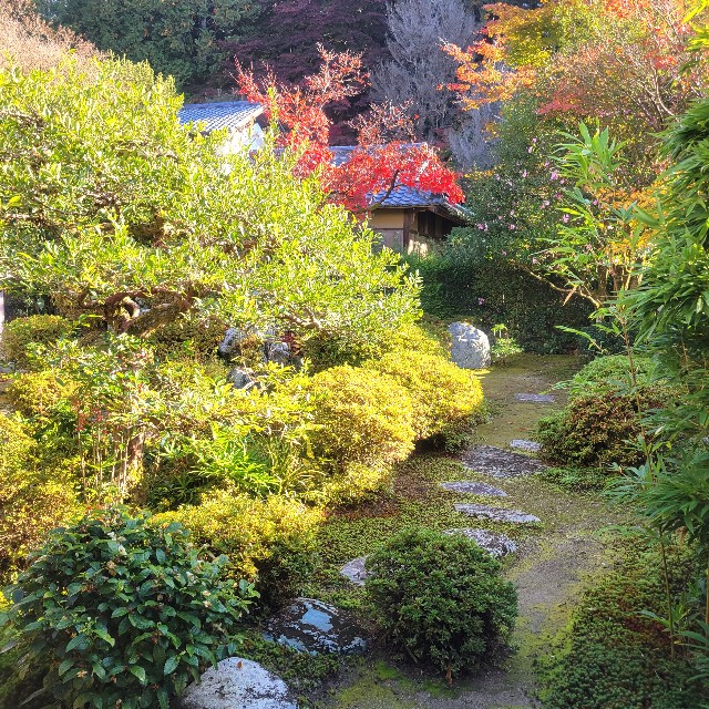 f:id:atoriatoriatori:20221129163628j:image