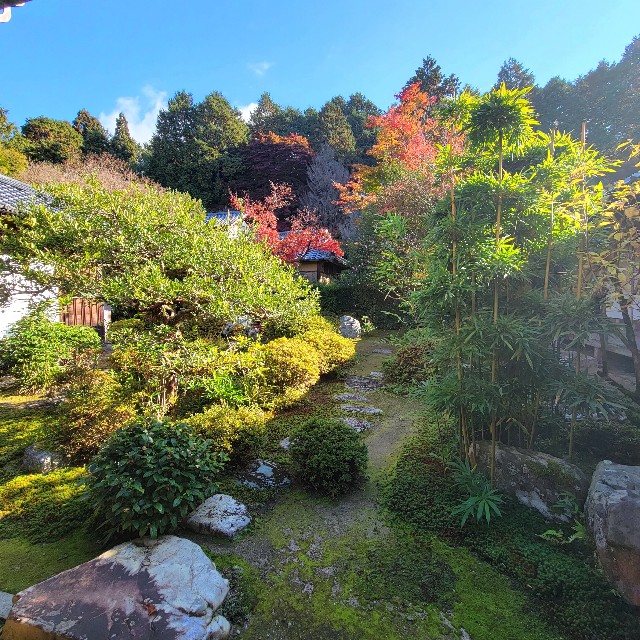 f:id:atoriatoriatori:20221129163638j:image