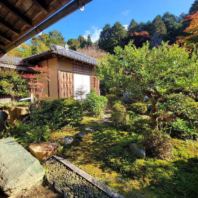 f:id:atoriatoriatori:20221129163646j:image