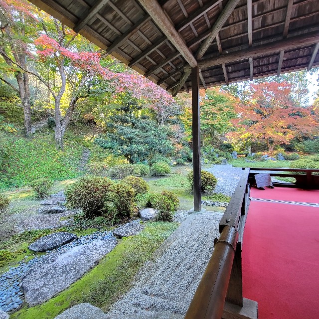 f:id:atoriatoriatori:20221129164549j:image