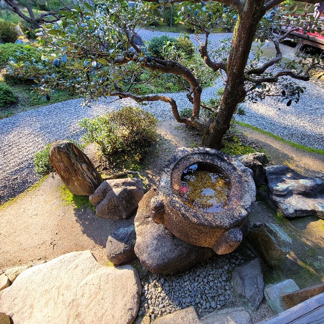 f:id:atoriatoriatori:20221129165849j:image