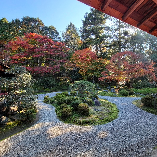 f:id:atoriatoriatori:20221129170429j:image