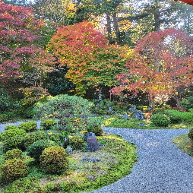 f:id:atoriatoriatori:20221129170444j:image