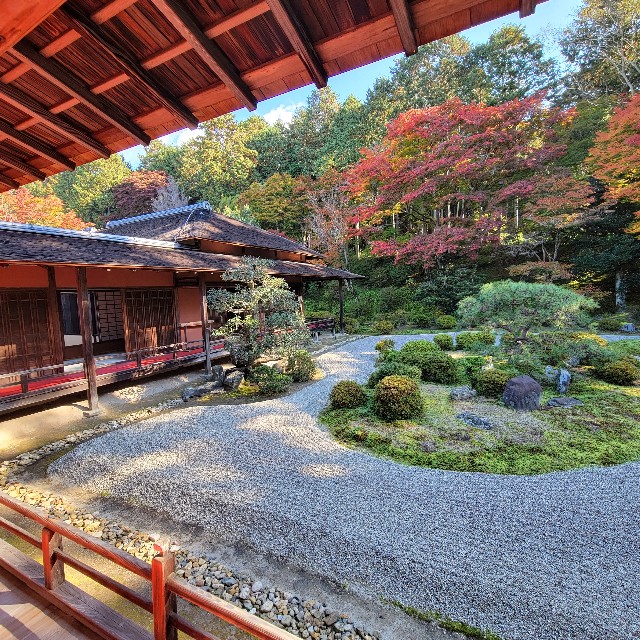 f:id:atoriatoriatori:20221129170459j:image