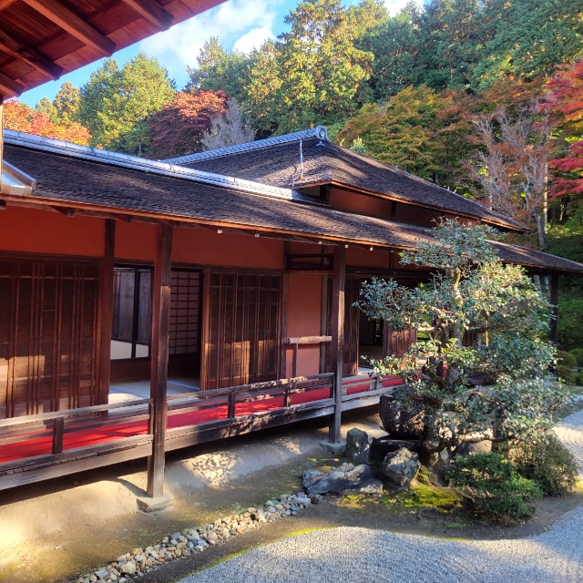 f:id:atoriatoriatori:20221129170506j:image