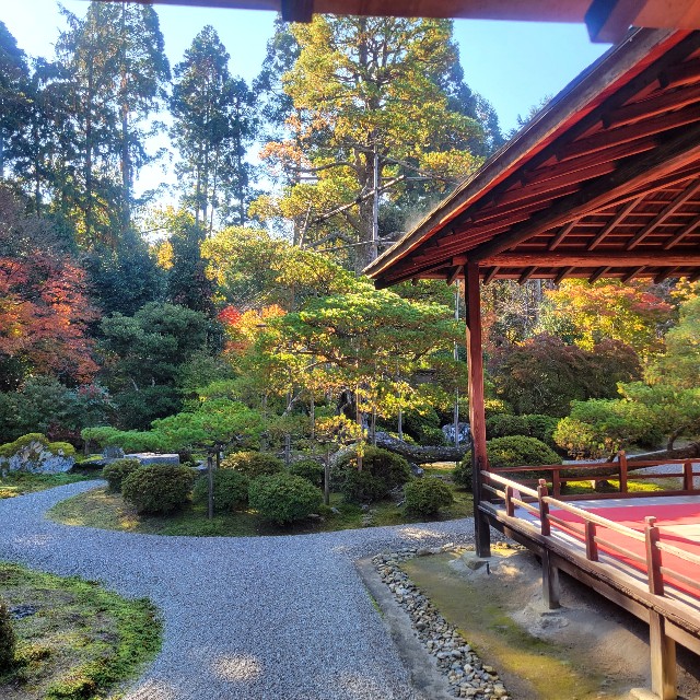 f:id:atoriatoriatori:20221129171408j:image