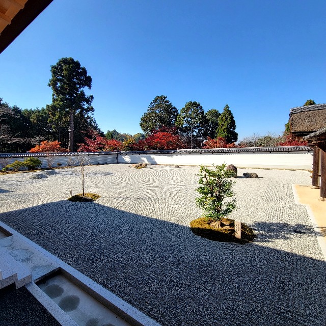 f:id:atoriatoriatori:20221129180336j:image