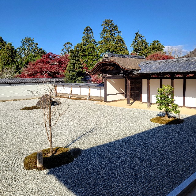 f:id:atoriatoriatori:20221129180355j:image