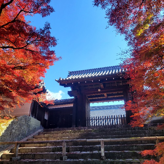 f:id:atoriatoriatori:20221129180722j:image