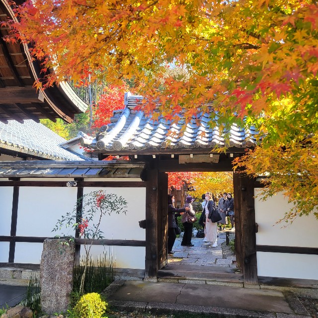 f:id:atoriatoriatori:20221202135715j:image