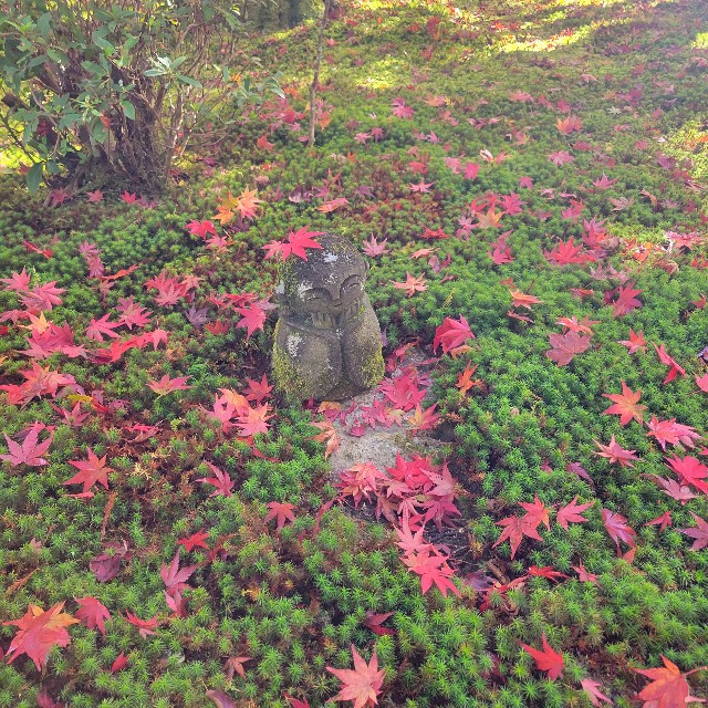 f:id:atoriatoriatori:20221202141151j:image