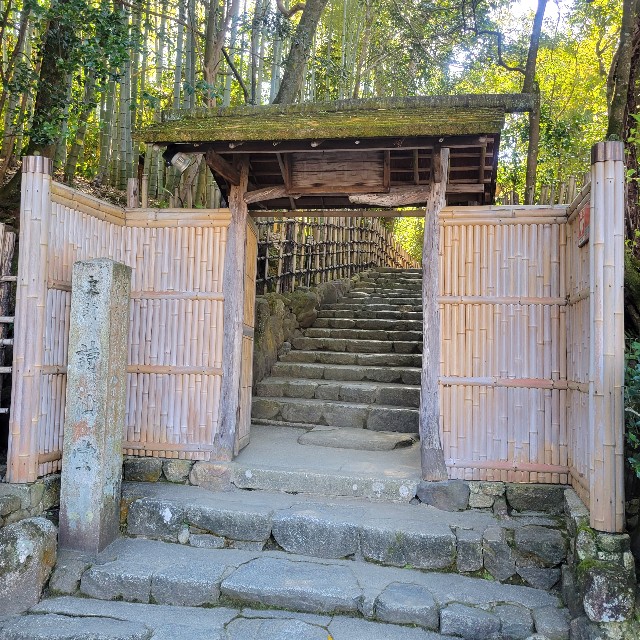 f:id:atoriatoriatori:20221202221718j:image