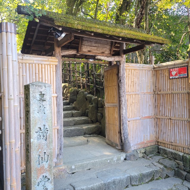 f:id:atoriatoriatori:20221202221724j:image