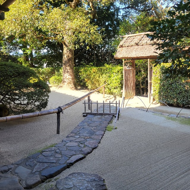 f:id:atoriatoriatori:20221203104014j:image