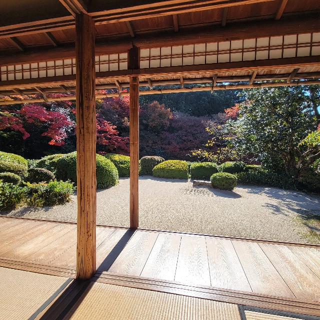 f:id:atoriatoriatori:20221203110532j:image