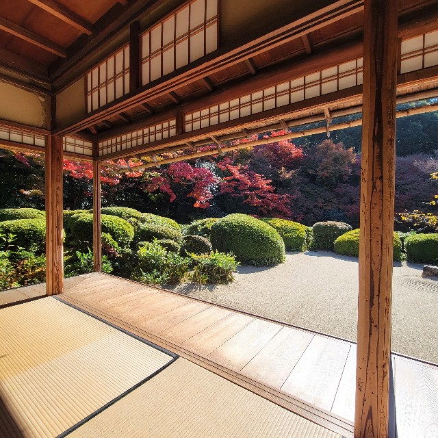 f:id:atoriatoriatori:20221203110539j:image