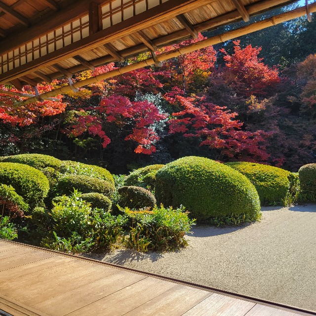 f:id:atoriatoriatori:20221203110545j:image