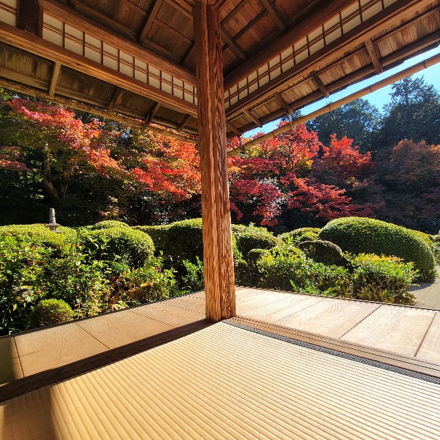 f:id:atoriatoriatori:20221203110739j:image