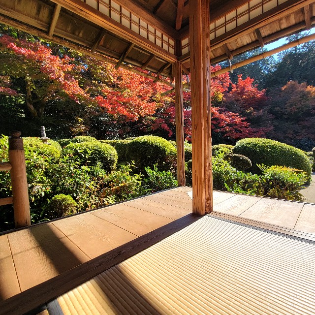 f:id:atoriatoriatori:20221203111147j:image