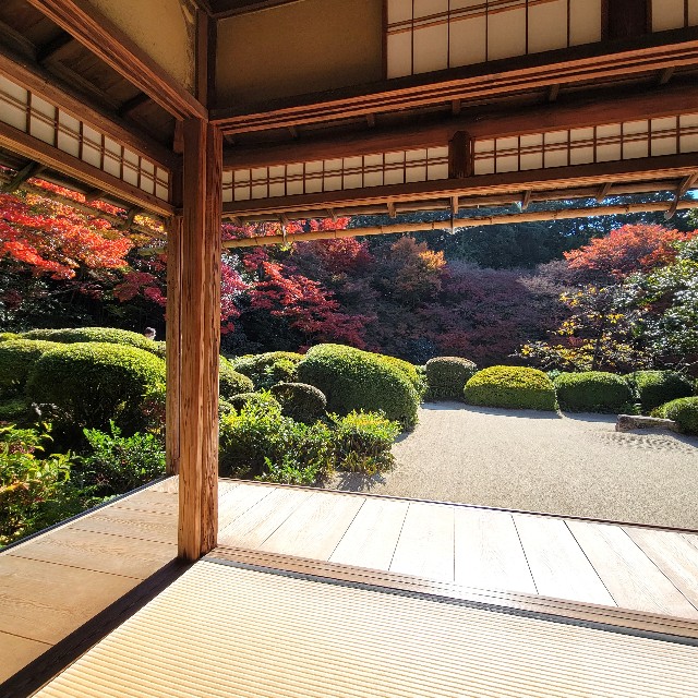 f:id:atoriatoriatori:20221203111158j:image