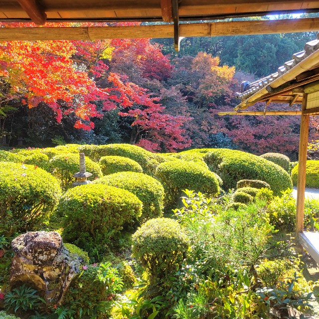 f:id:atoriatoriatori:20221203183910j:image