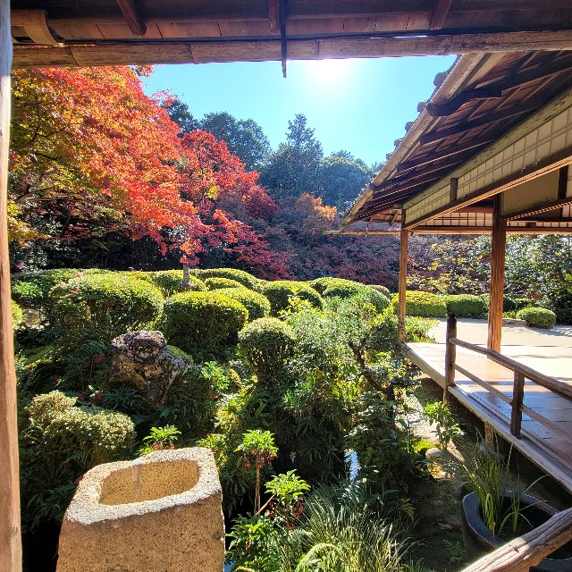 f:id:atoriatoriatori:20221203183917j:image