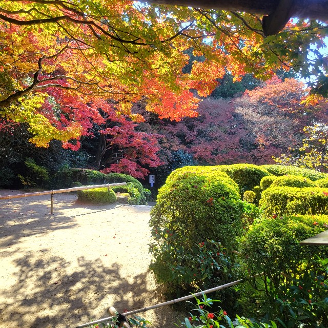 f:id:atoriatoriatori:20221203203121j:image