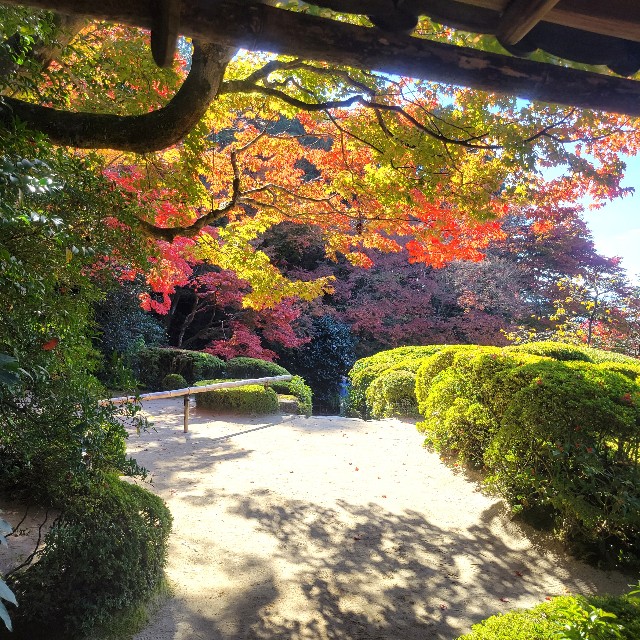 f:id:atoriatoriatori:20221203203128j:image