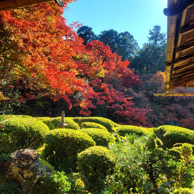 f:id:atoriatoriatori:20221203203138j:image