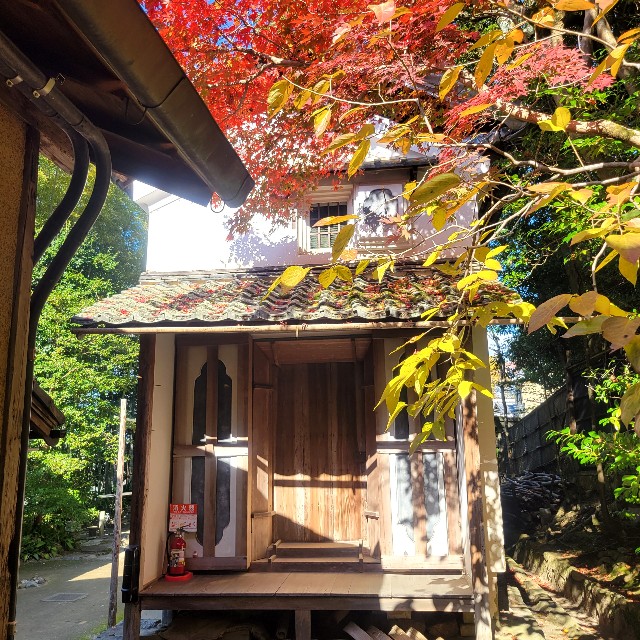 f:id:atoriatoriatori:20221203204232j:image