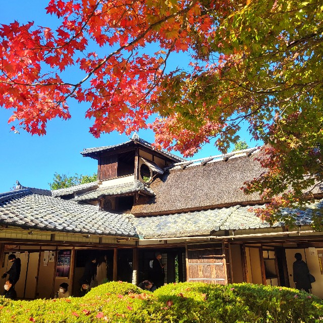 f:id:atoriatoriatori:20221203210438j:image