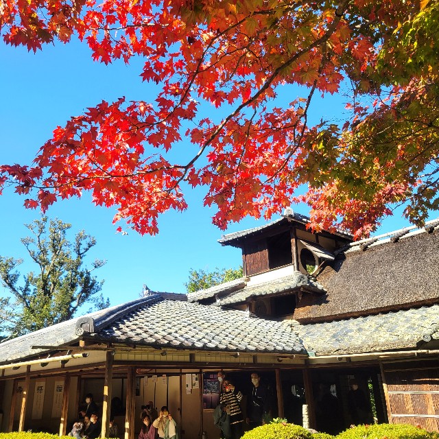 f:id:atoriatoriatori:20221203224303j:image