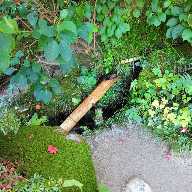 f:id:atoriatoriatori:20221203224901j:image