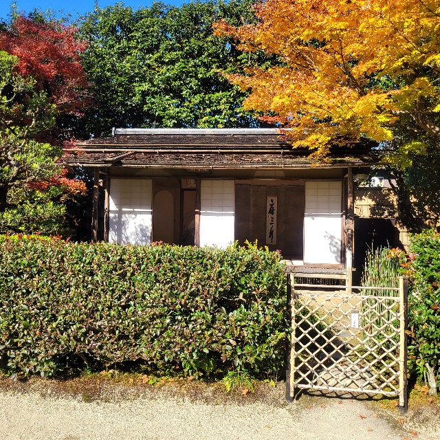 f:id:atoriatoriatori:20221204095415j:image