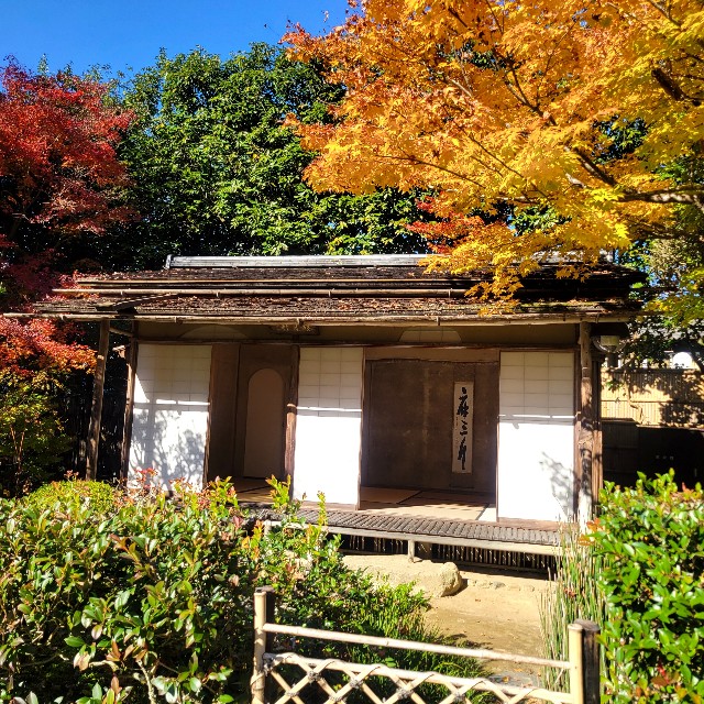 f:id:atoriatoriatori:20221204095423j:image