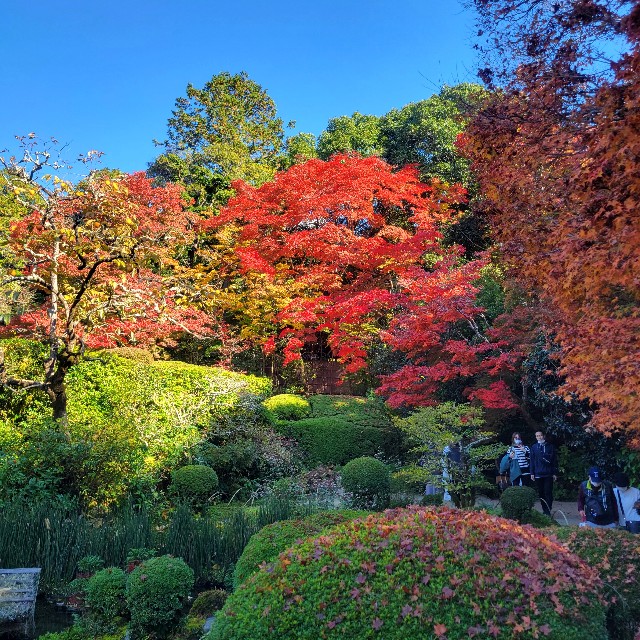 f:id:atoriatoriatori:20221204100150j:image