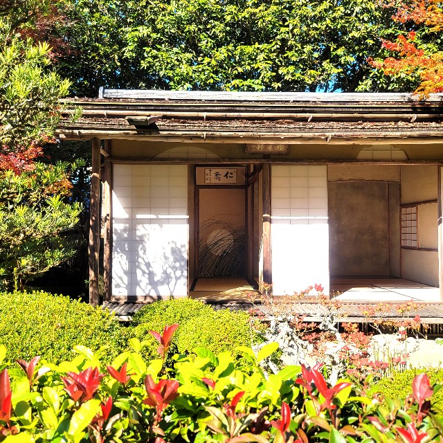 f:id:atoriatoriatori:20221204100250j:image