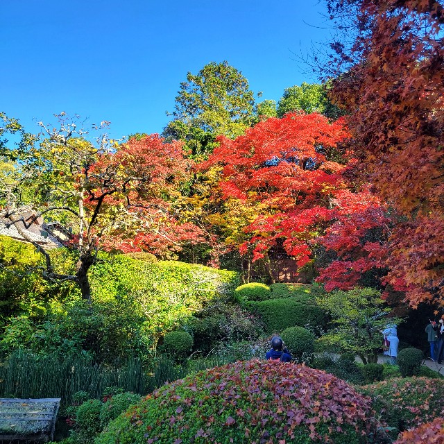 f:id:atoriatoriatori:20221204100528j:image