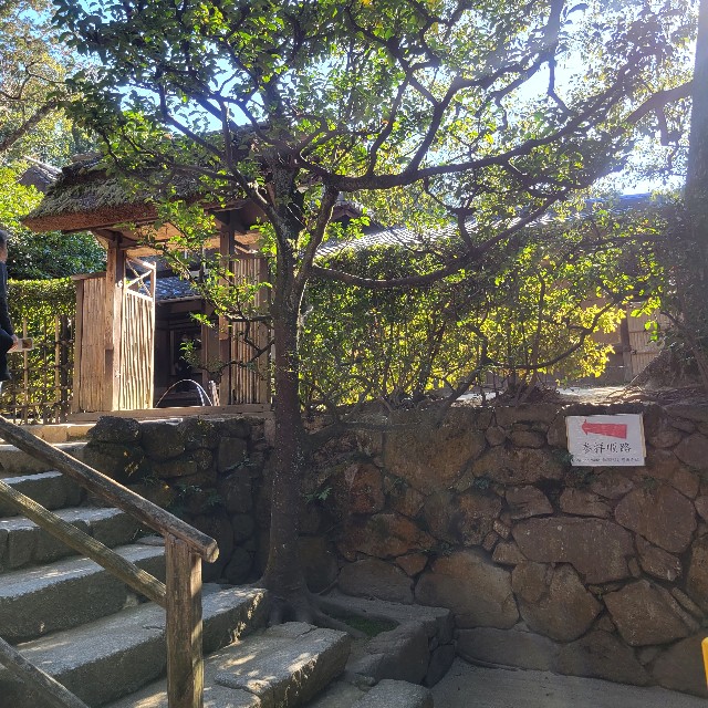 f:id:atoriatoriatori:20221204100747j:image