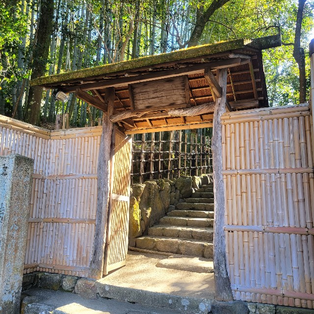 f:id:atoriatoriatori:20221204100838j:image