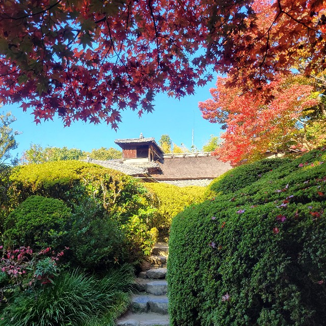 f:id:atoriatoriatori:20221204110415j:image