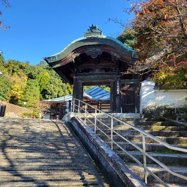 f:id:atoriatoriatori:20221204200636j:image