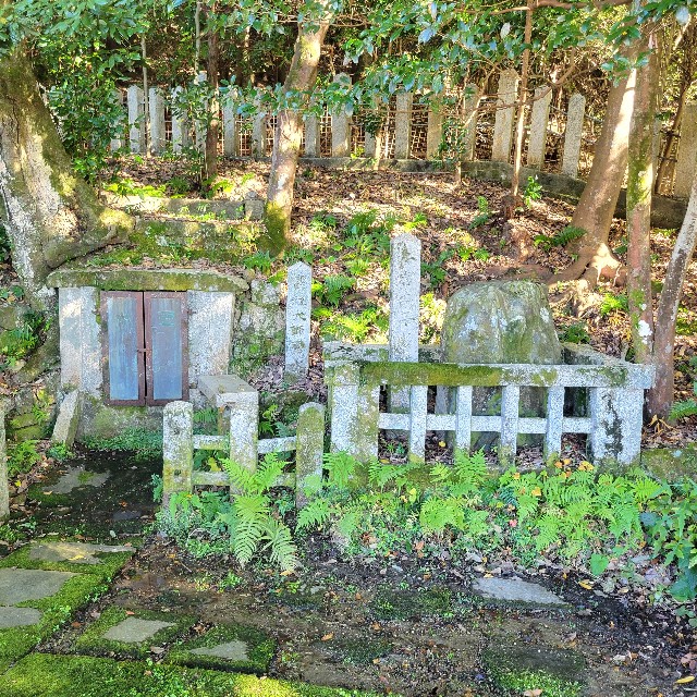 f:id:atoriatoriatori:20221204204313j:image