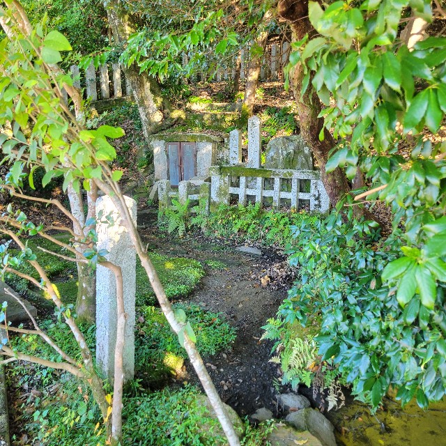 f:id:atoriatoriatori:20221204204431j:image