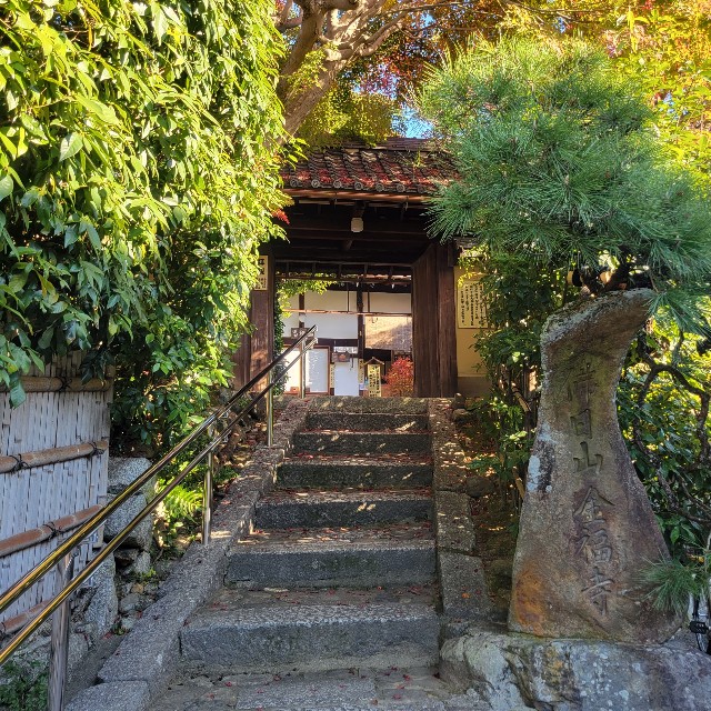 f:id:atoriatoriatori:20221205211918j:image