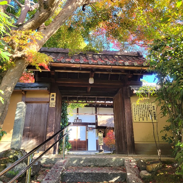 f:id:atoriatoriatori:20221205211925j:image