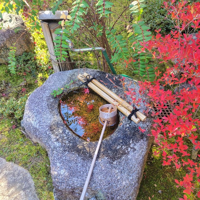 f:id:atoriatoriatori:20221205221812j:image